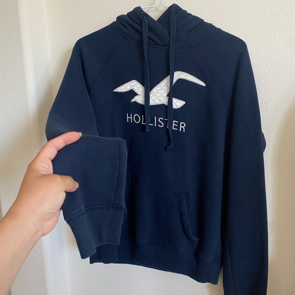 Vintage Hollister Co. Hoodie